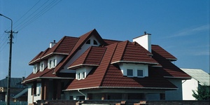 Gerard Heritage, Chestnut 2.jpg