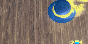 Террасная доска из ДПК Bamberg, Solid, English Barnwood5