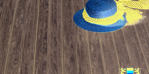 Террасная доска из ДПК Bamberg, Square, English Barnwood12