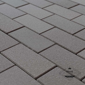 Брусчатка Steingot, 200х100х40 мм, Серая (полный прокрас, минифаска)