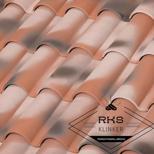 Керамическая черепица Tejas Borja, 10 Tech, Manoir