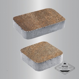 Тротуарная плитка КЛАССИКО - А.1.КО.4, Листопад гранит, Клён