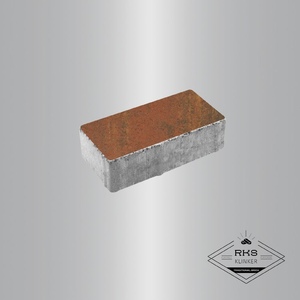 Плитка ПРЯМОУГОЛЬНИК - А.2.П.4, Листопад гладкий, Арабская ночь