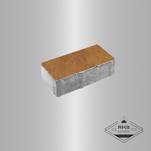 Тротуарная плитка ПРЯМОУГОЛЬНИК - А.2.П.4, Листопад гладкий, Каир