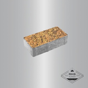 Тротуарная плитка ПРЯМОУГОЛЬНИК - А.2.П.4, Листопад гладкий, Саванна