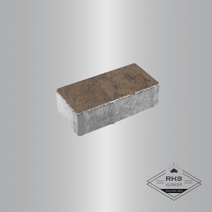 Тротуарная плитка ПРЯМОУГОЛЬНИК - А.2.П.4, Листопад гладкий, Шелковица