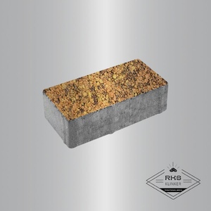 Тротуарная плитка ПРЯМОУГОЛЬНИК - Б.2.П.6, Листопад гладкий, Саванна