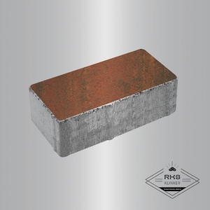 Плитка ПРЯМОУГОЛЬНИК - Б.5.П.8, Листопад гладкий, Арабская ночь