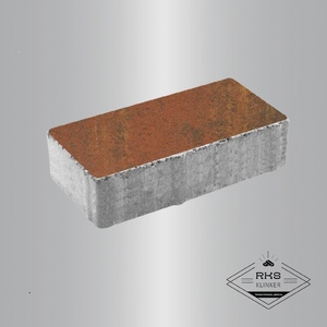 Плитка ПРЯМОУГОЛЬНИК - В.2.П.10, Листопад гладкий, Арабская ночь