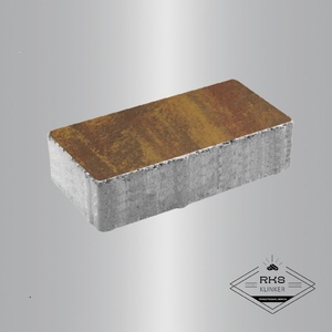 Тротуарная плитка ПРЯМОУГОЛЬНИК - В.2.П.10, Листопад гладкий, Осень