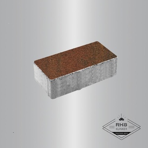 Плитка ПРЯМОУГОЛЬНИК - В.2.П.10, Листопад гранит, Арабская ночь