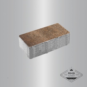 Тротуарная плитка ПРЯМОУГОЛЬНИК - В.2.П.10, Листопад гранит, Клён