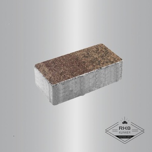 Тротуарная плитка ПРЯМОУГОЛЬНИК - В.2.П.10, Листопад гранит, Шелковица