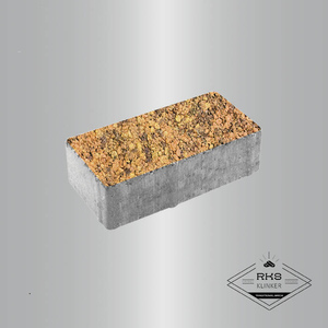 Тротуарная плитка ПРЯМОУГОЛЬНИК - Б.2.П.6 Листопад гранит, Саванна