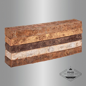 Ригельный кирпич Тандем, Романовъ, 485x42x40 мм