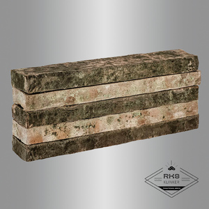 Ригельный кирпич Тандем, Залесье, 485x42x40 мм