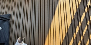 Реечная панель ДПК Turtle Shell Different Lines Australian Palisander Co-Extrusion (фасад) 2
