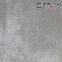 Клинкерные ступени и плитка WesterWalder WKS31110 в Воронеже